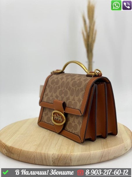 AOC COA Ten Colour Ladies Sling Bag With Box 8843