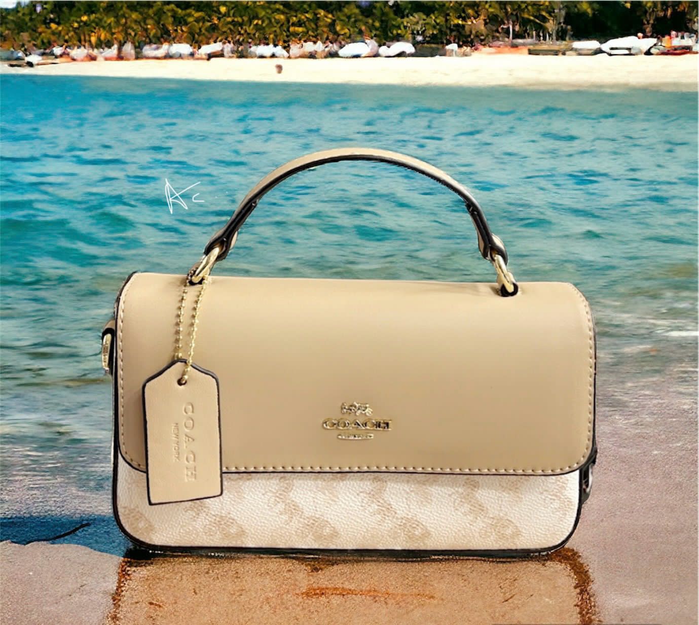Aoc Multi Colour Ladies Silng Bag 30998
