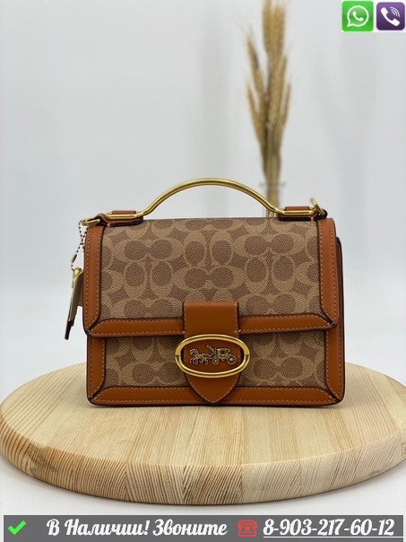 AOC COA Ten Colour Ladies Sling Bag With Box 8843