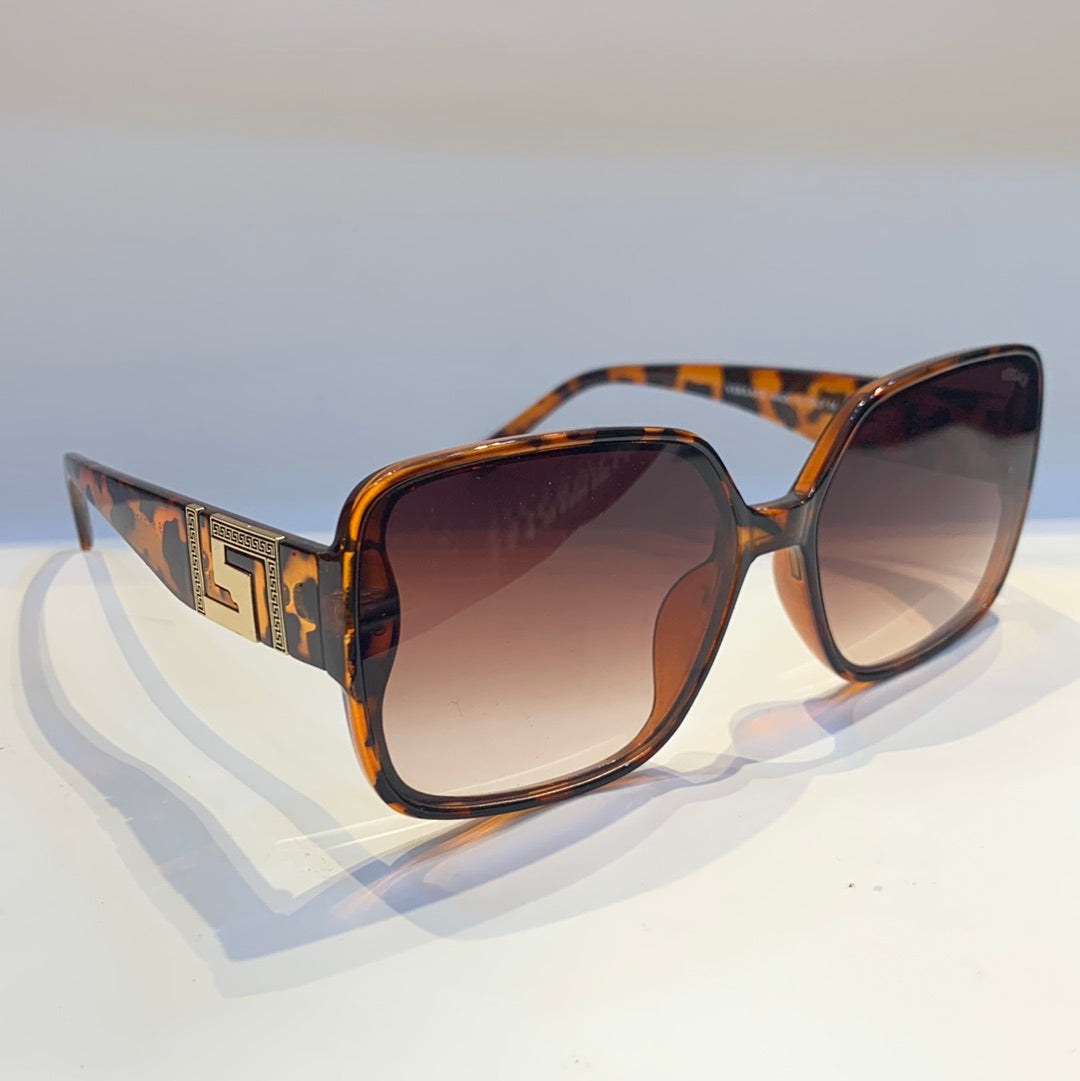 REV Leopard Frame Brown Shade Unisex Sunglass W9019 61 17-148