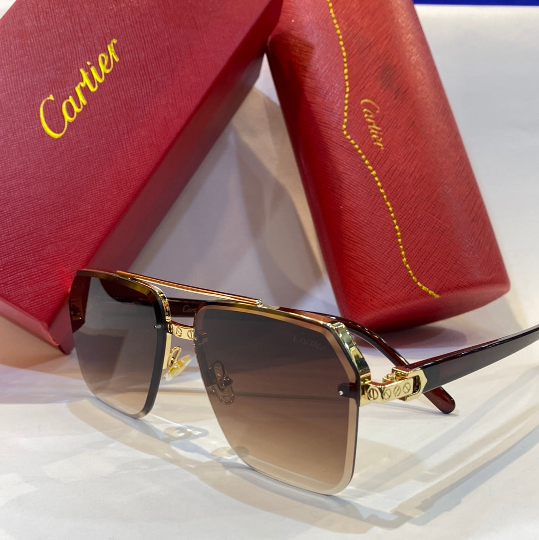 RAC Gold Brown Frame Brown Shade Unisex Branded 020A 58 15-150
