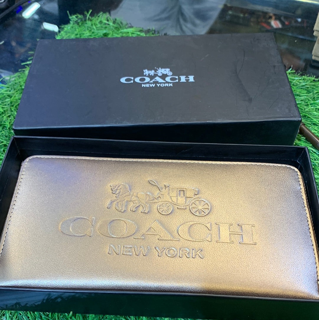 Aoc Gold Colour Momen Clutch 074307