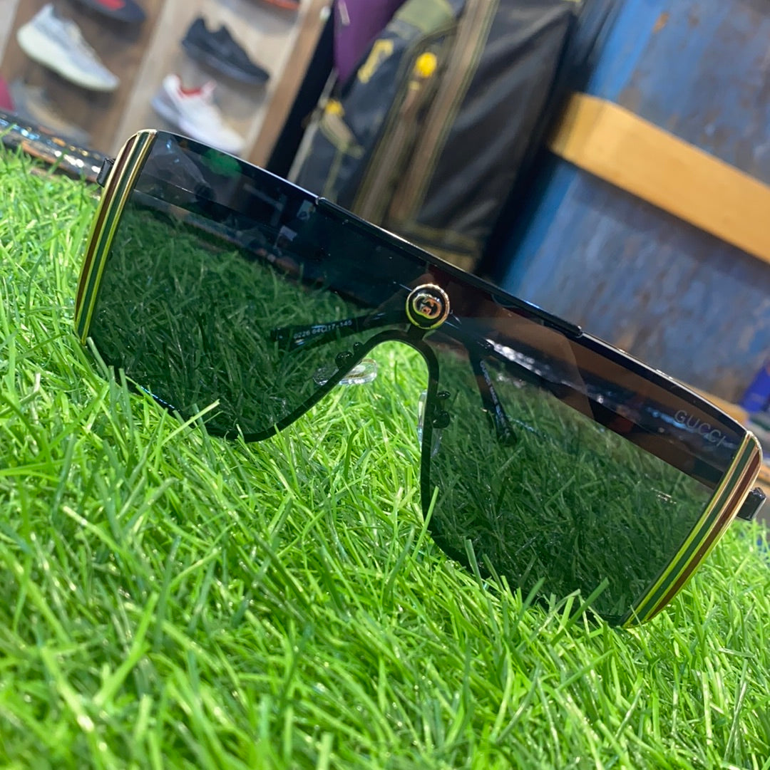 Sunglasses Model 0226
