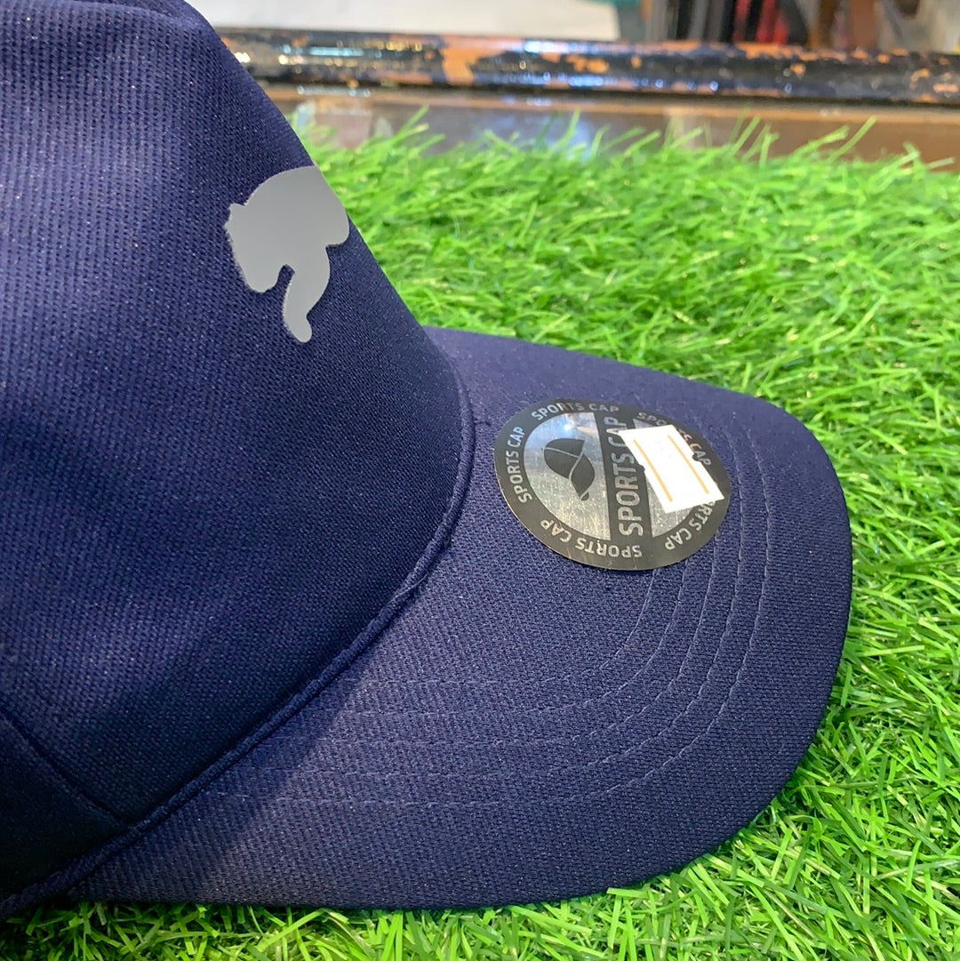 Blue PA Cap 700243