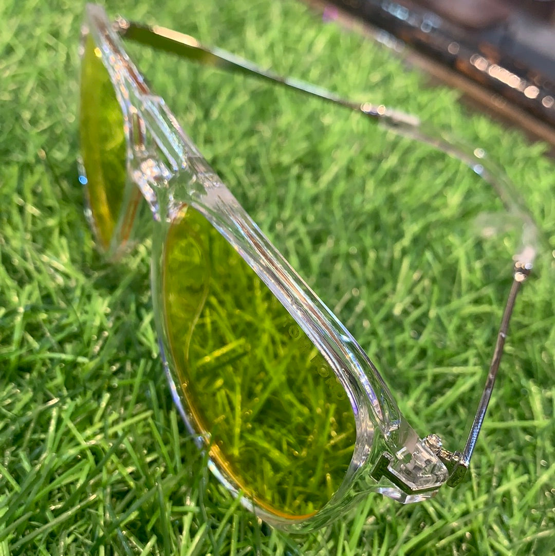 New Sunglasses Model 0587