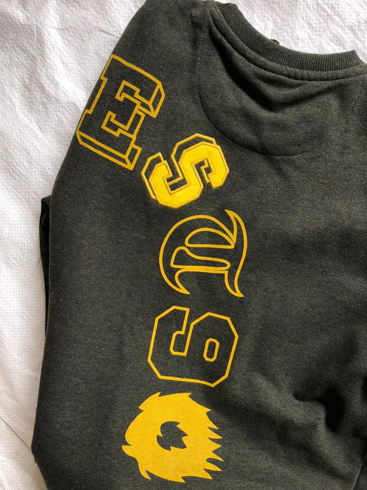 Zr Charcoal Grey Colour EDTD 90 Sweatshirt