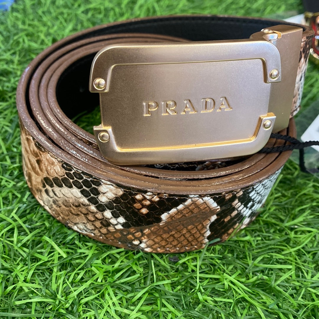 ARP Copper Colour Buckle Snake Print Genuine Leather Men’s Belt 801023